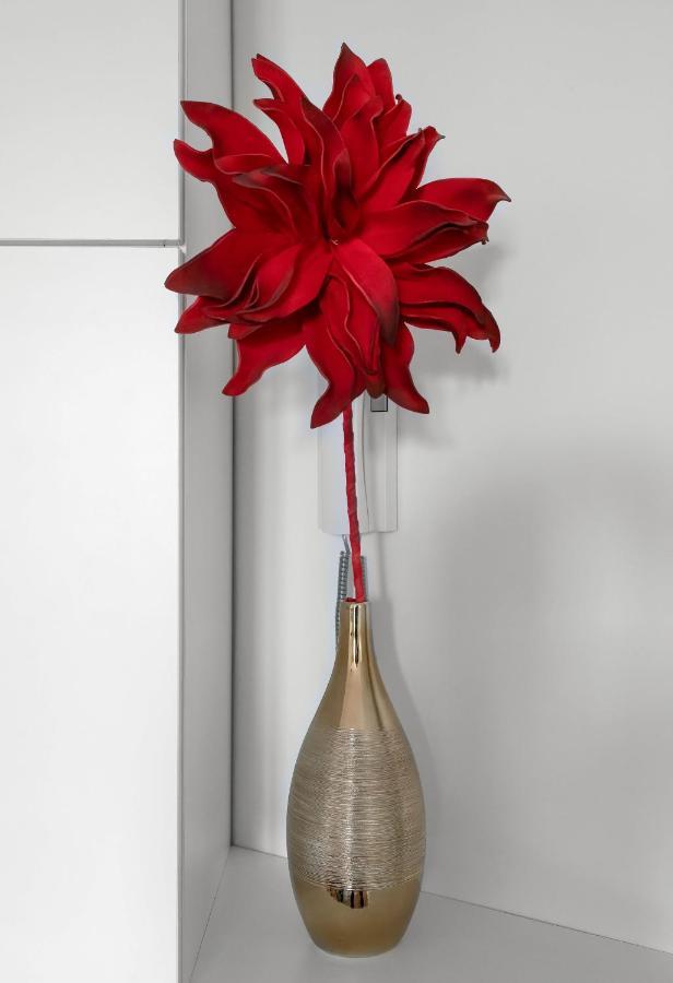 Appartement Design La Petite Europe - Ideal Curistes 维琪 外观 照片